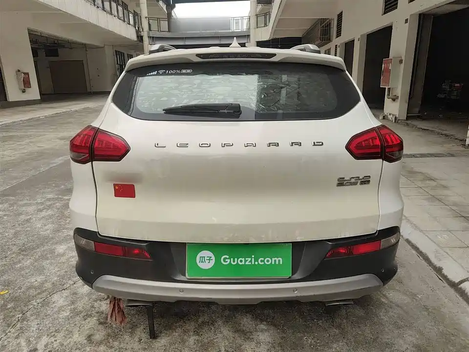 Leopaard Cheetah CS10