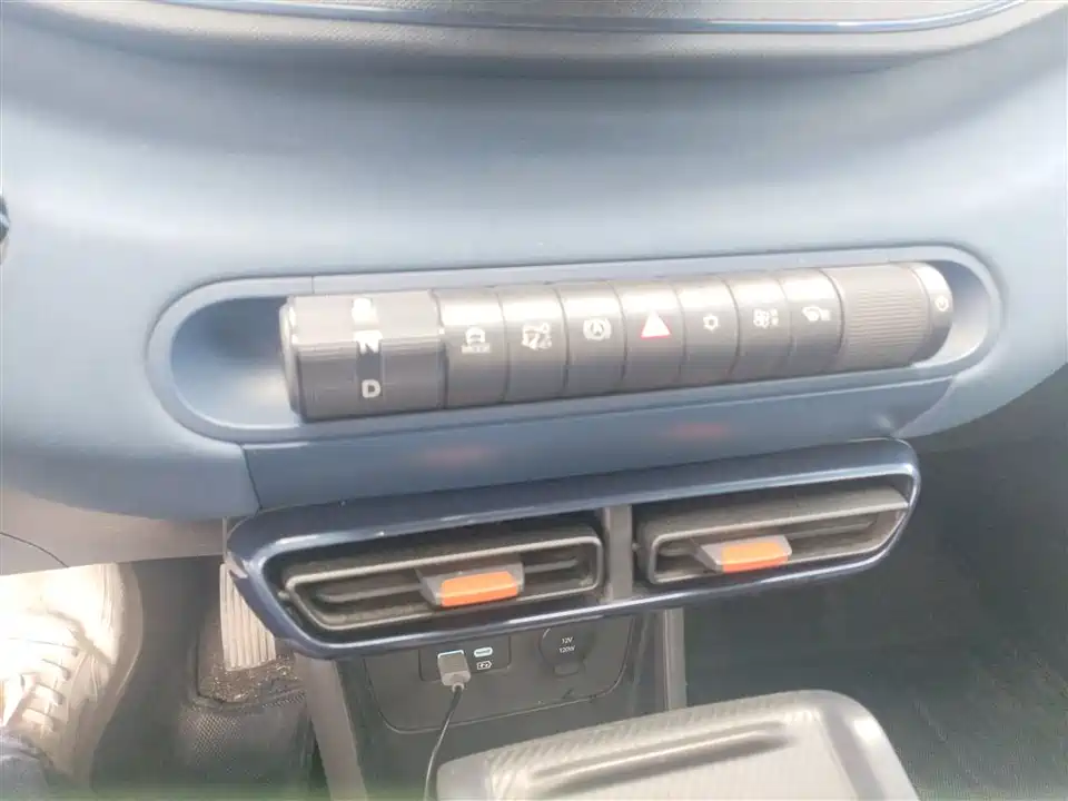 BYD Seagull