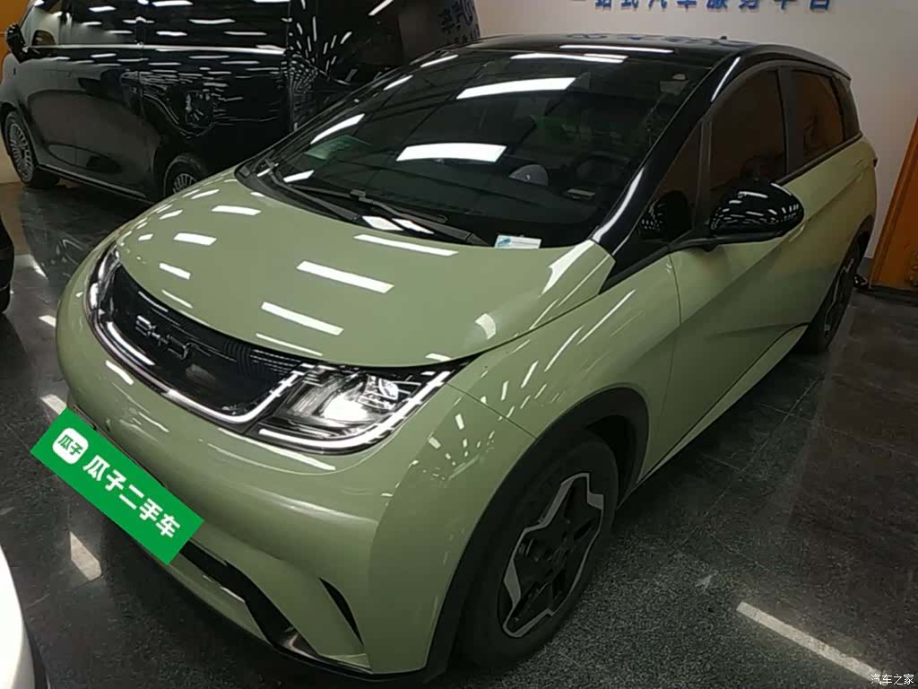 BYD Dolphin, 2022 1