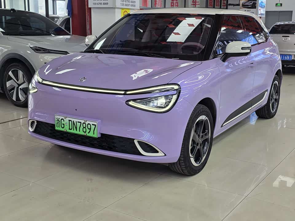 Dongfeng Nammi Nano 01