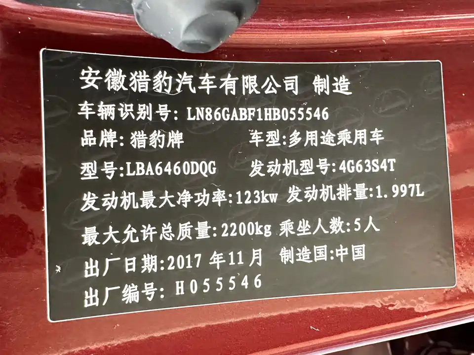 Leopaard Cheetah CS10