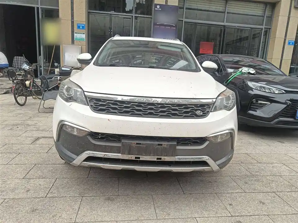 Leopaard Cheetah CS10