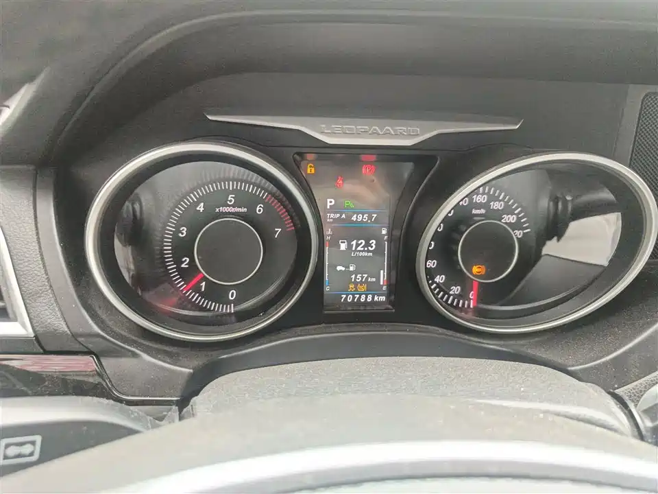 Leopaard Cheetah CS10