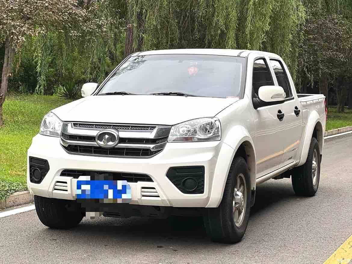 Great Wall 5, 2024 1