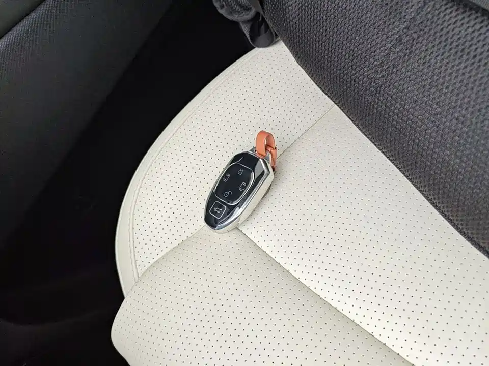 Trumpchi Trumpchi E9