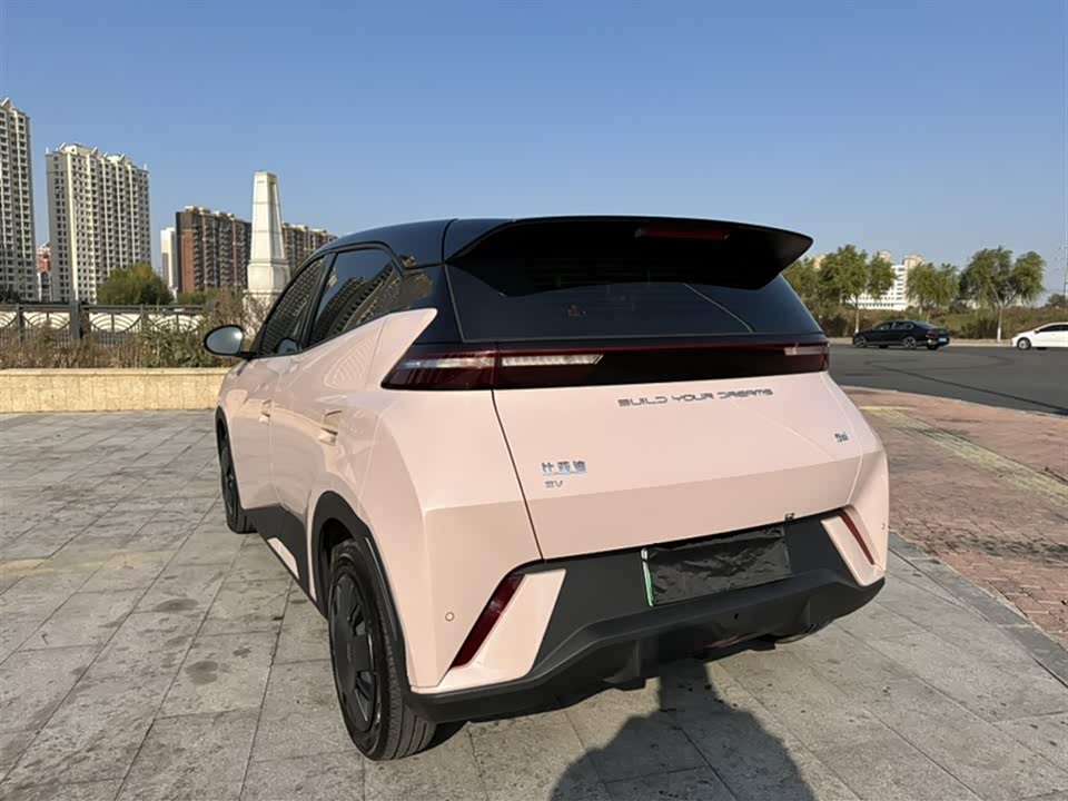 BYD Seagull BYD Seagull