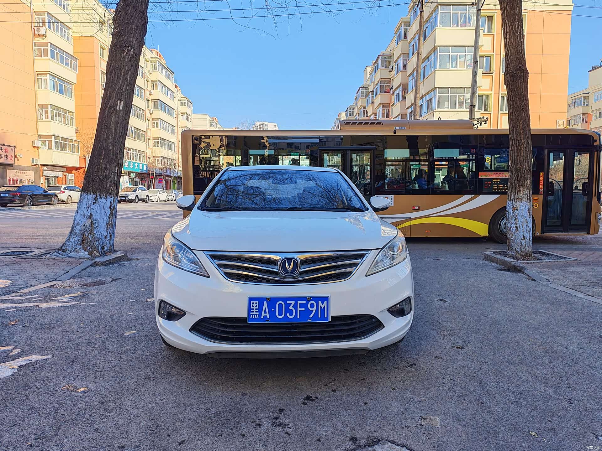 Changan Eado, 2016 2