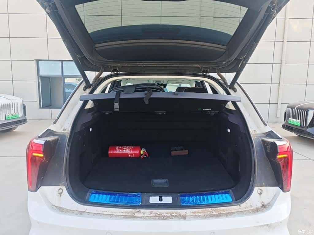 Hongqi E-HS9, 2023 19