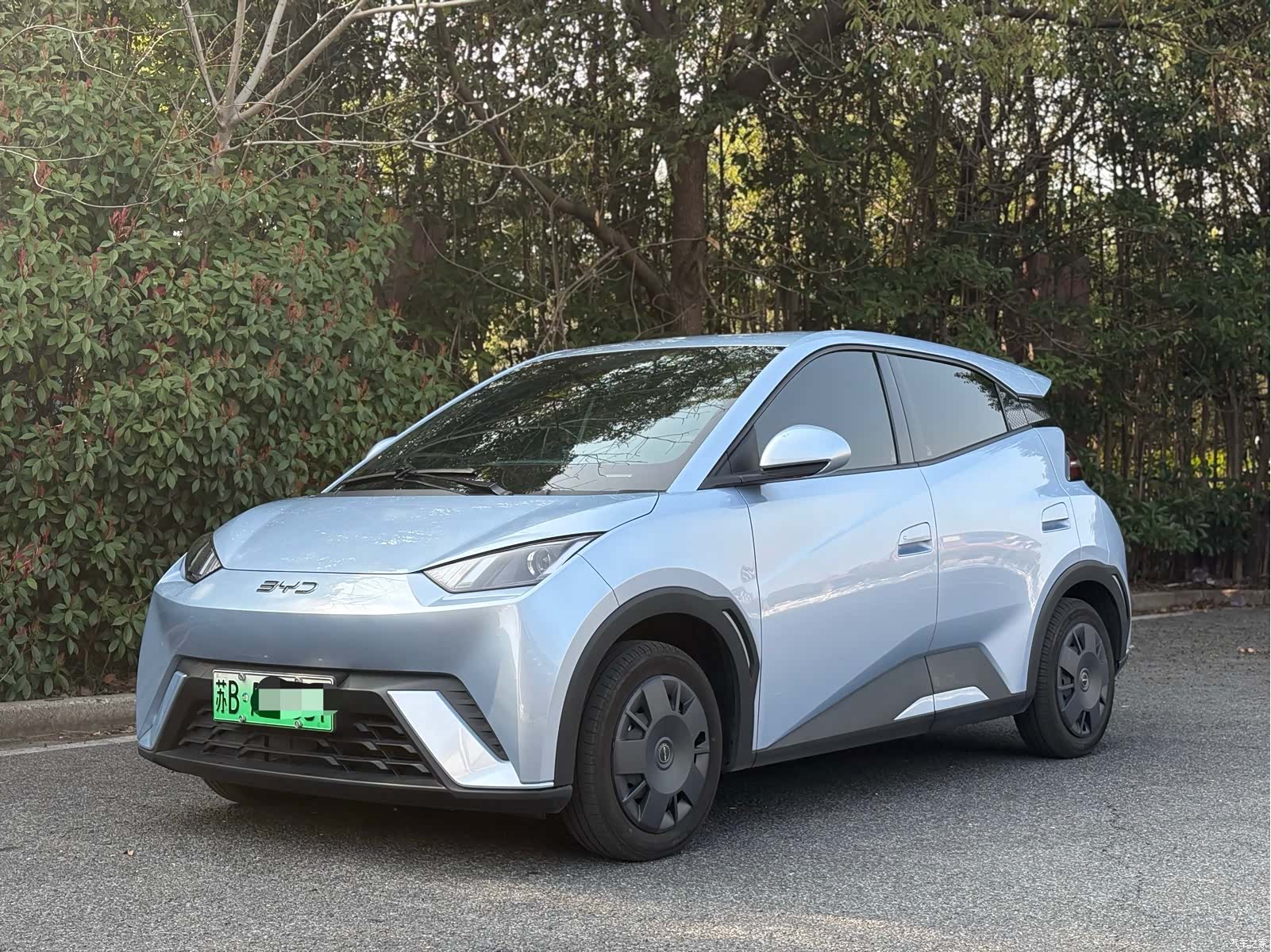 BYD Seagull, 2024 1