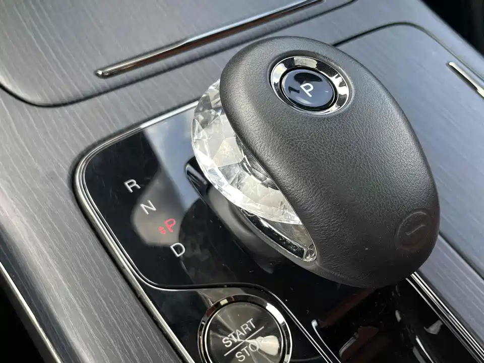 Trumpchi Trumpchi E9