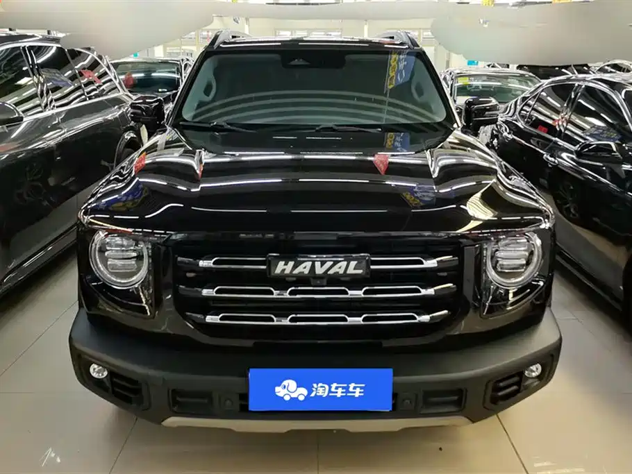 Haval Big dog