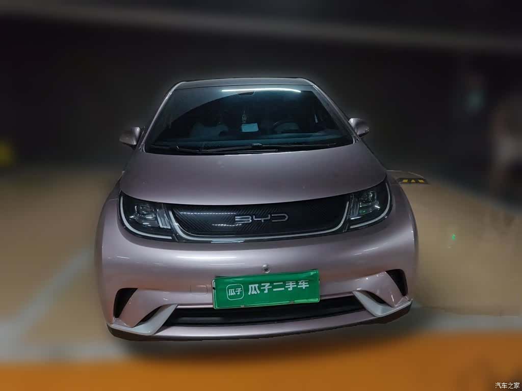 BYD Dolphin, 2022 24