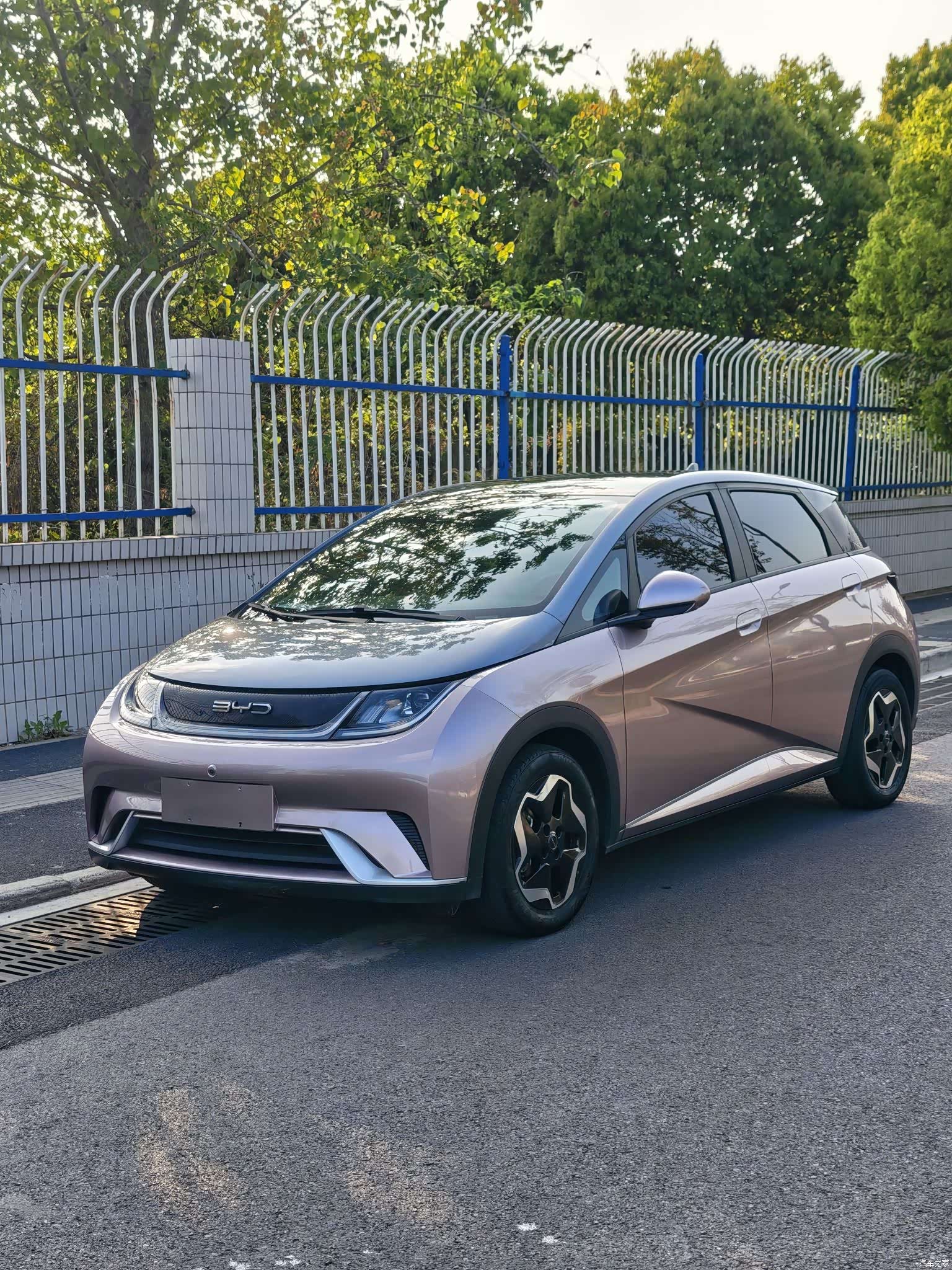 BYD Dolphin, 2021 3