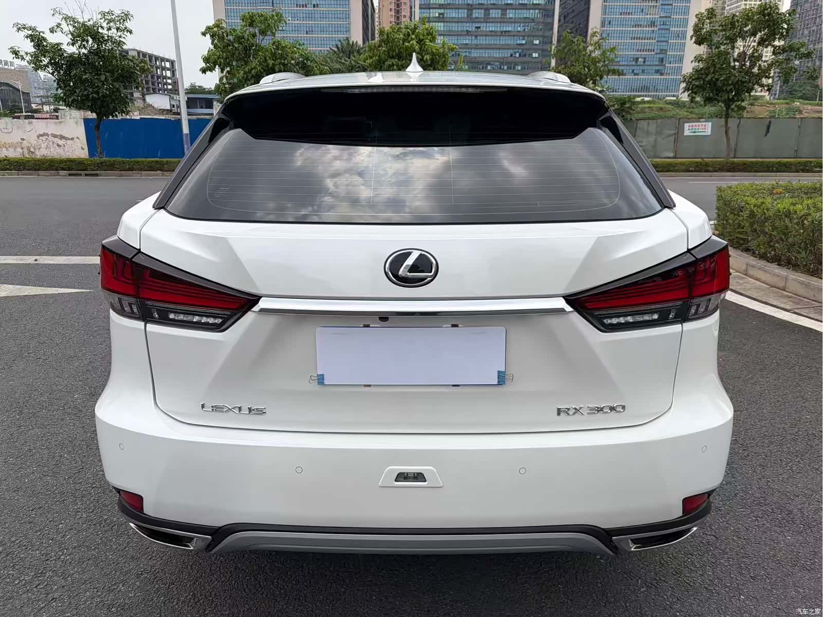 Lexus RX, 2021 все фото