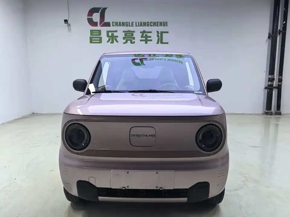 Geely Galaxy panda