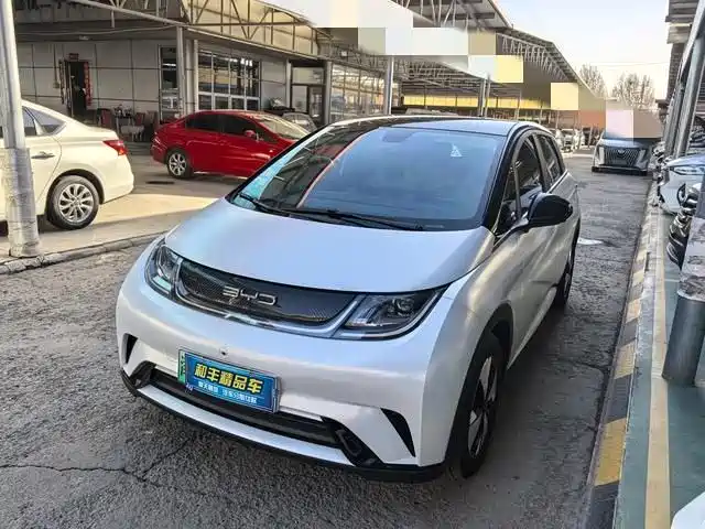 BYD dolphin