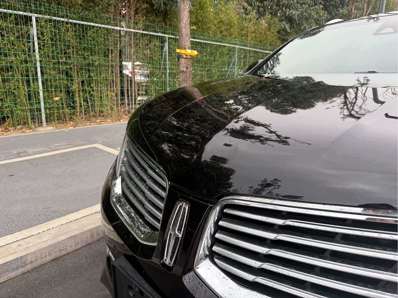 Lincoln MKX, 2017 все фото