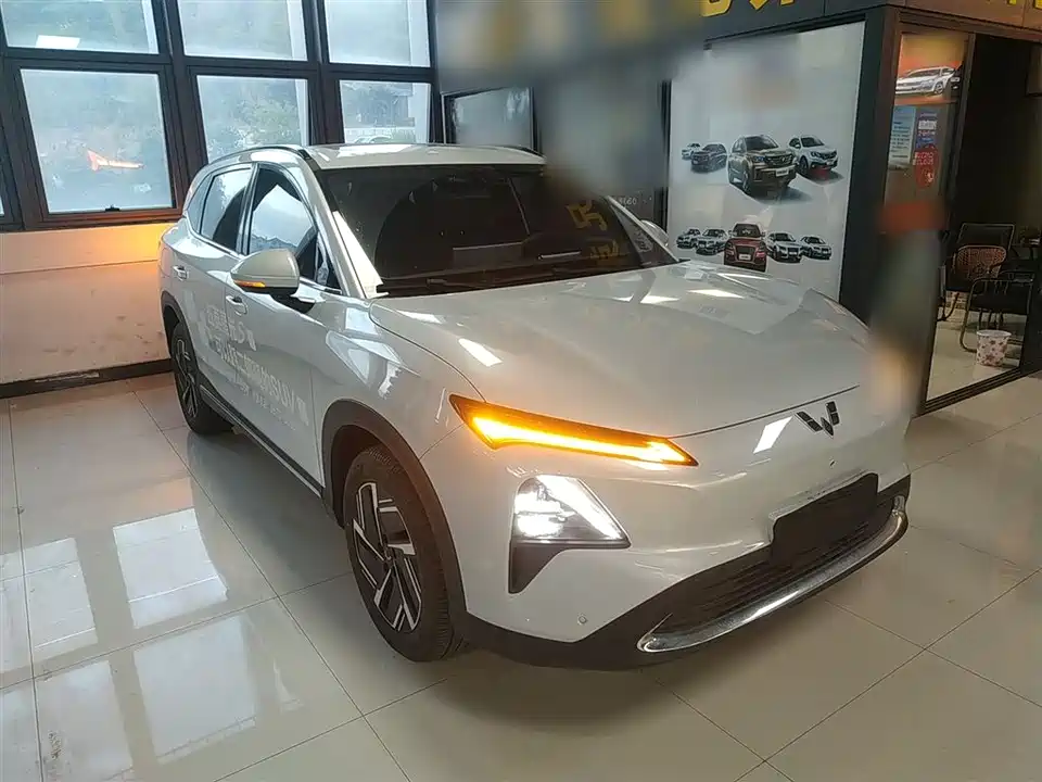 Wuling Wuling Xingguang S