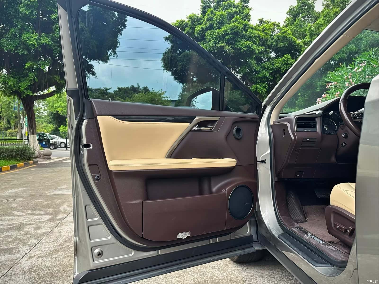 Lexus RX, 2019 9
