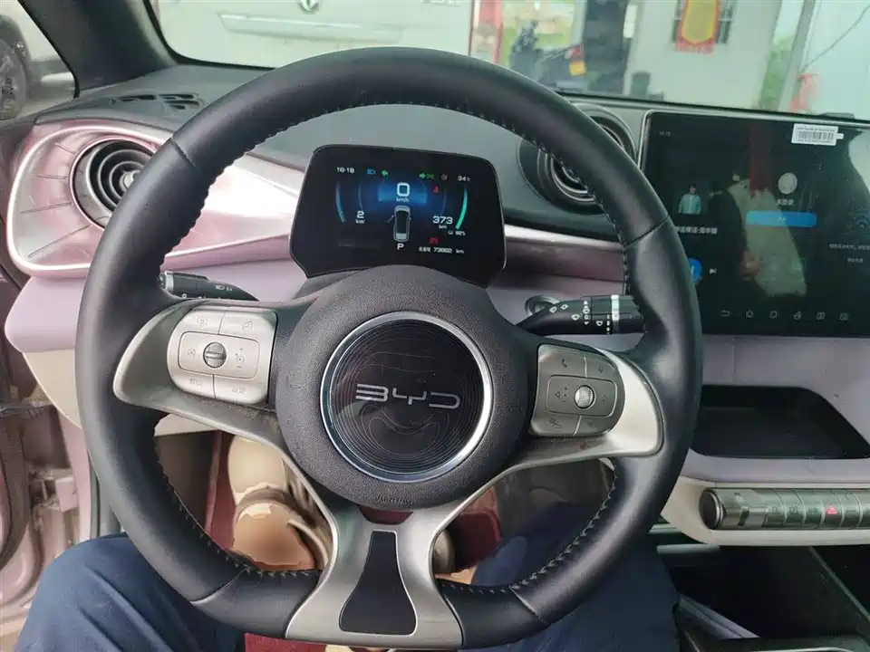 BYD dolphin