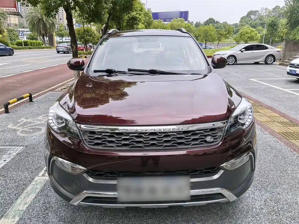 Leopaard Cheetah CS10