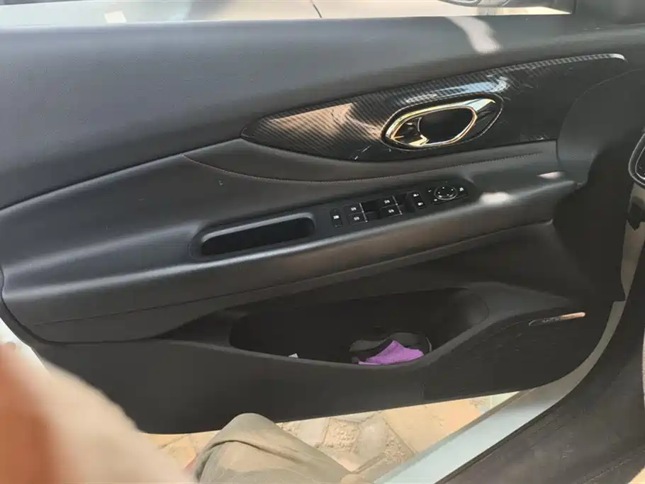 Trumpchi Shadow Leopard