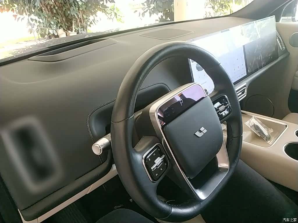 Li Auto L9, 2022 10