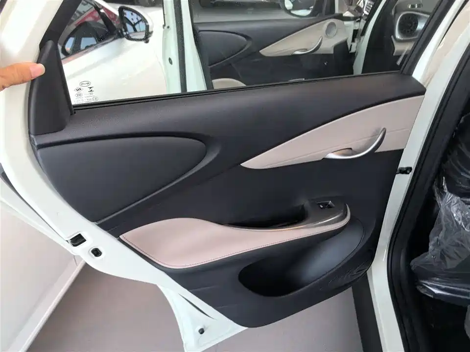 BYD dolphin