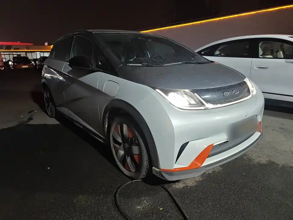 BYD dolphin