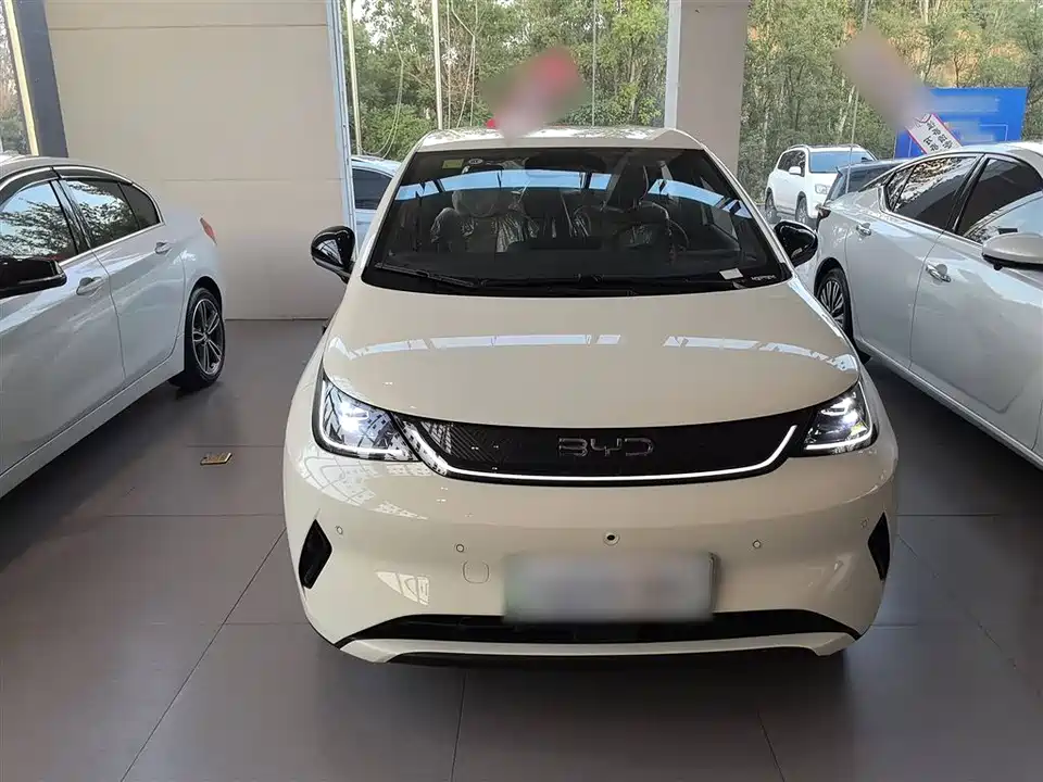BYD dolphin