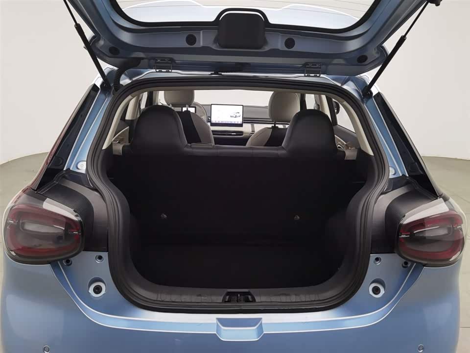 Dongfeng Nammi Nano 01