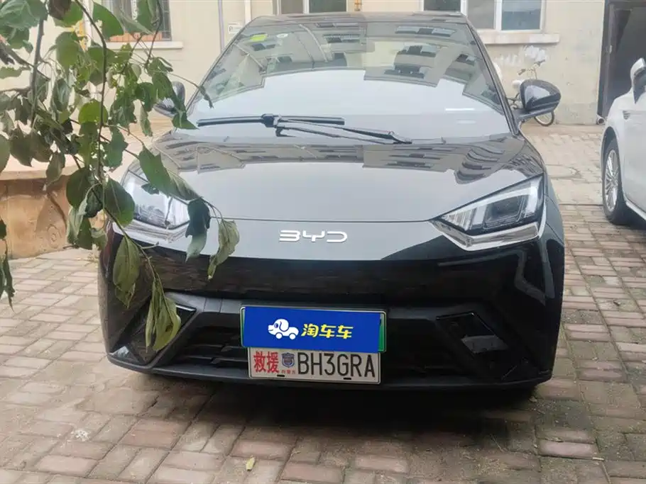 BYD Seagull