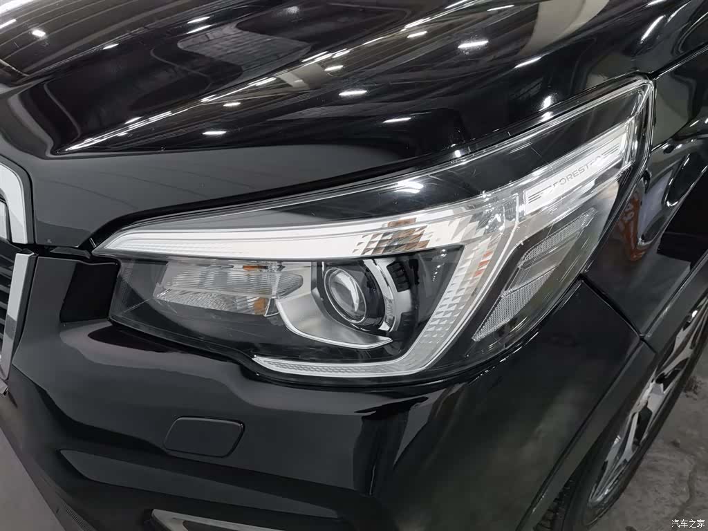 Subaru Forester, 2019 7