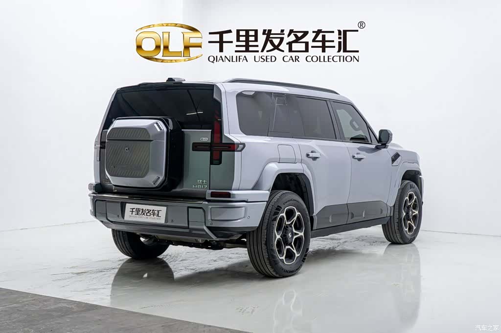 Mengshi M817, 2025 6