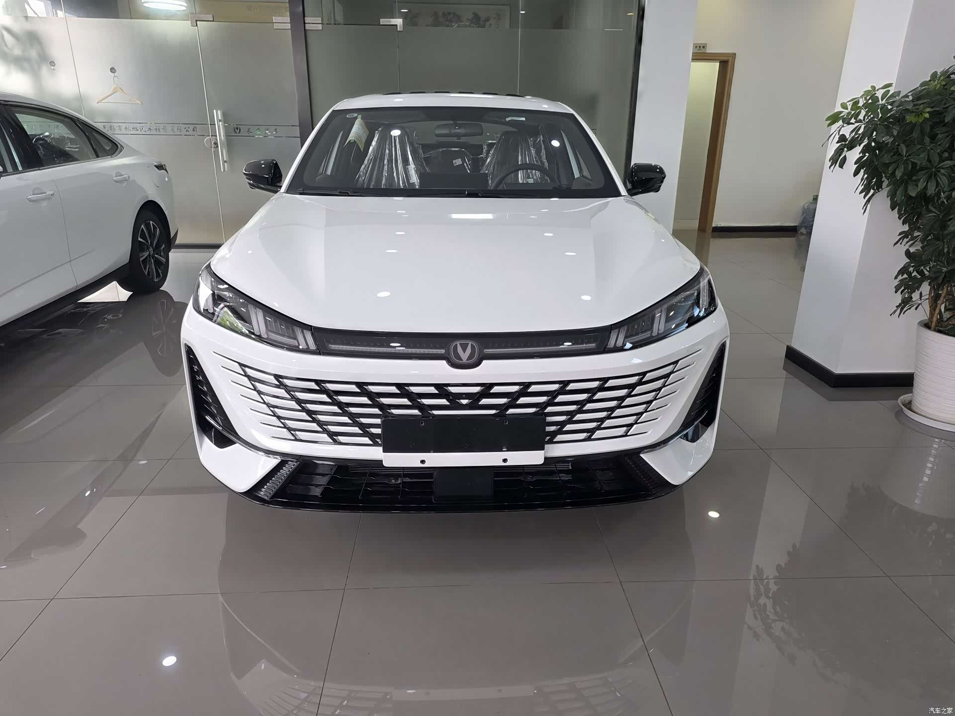 Changan Eado, 2026 2