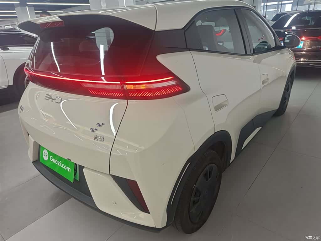 BYD Seagull, 2025 7