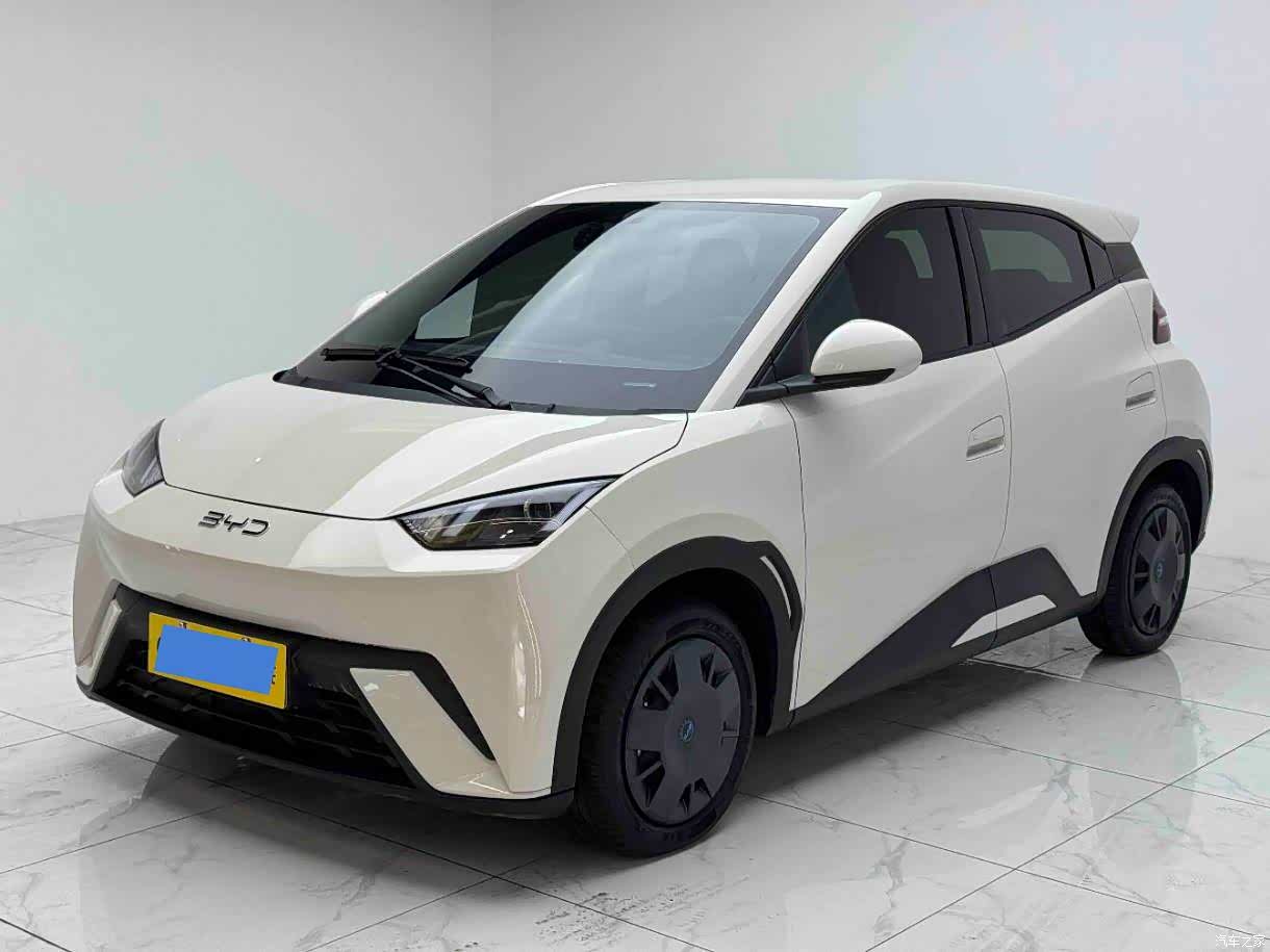 BYD Seagull, 2024 1