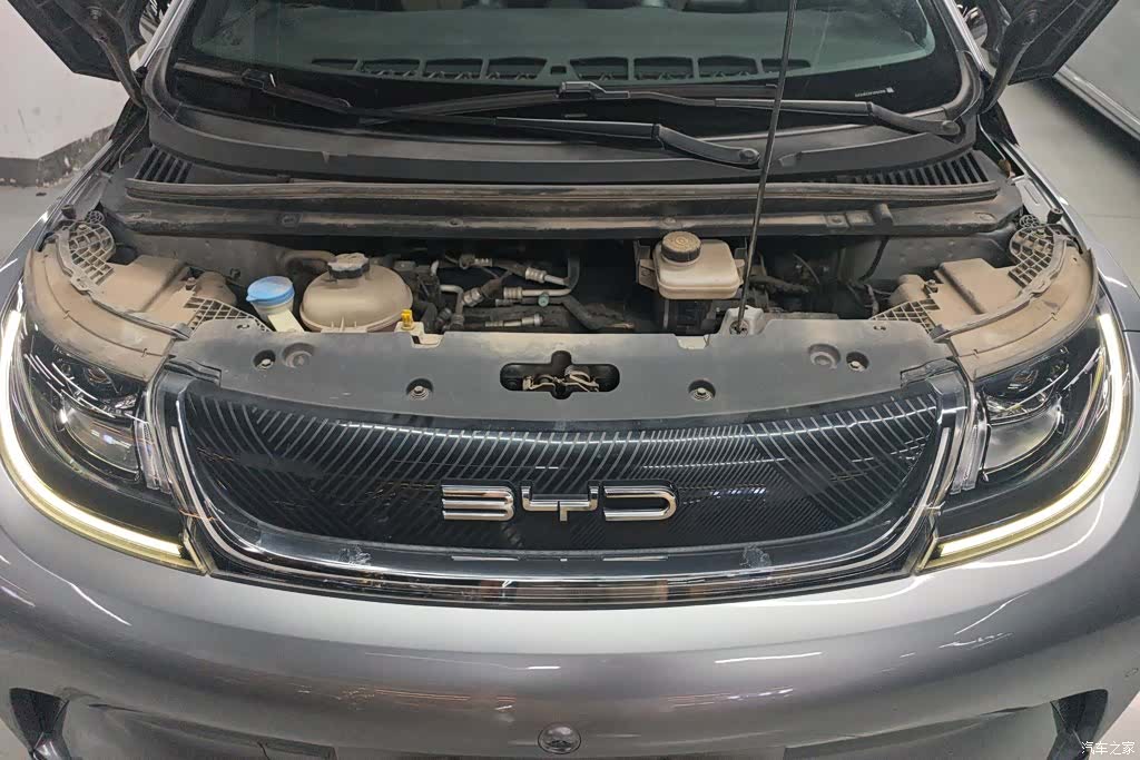 BYD Dolphin, 2023 10