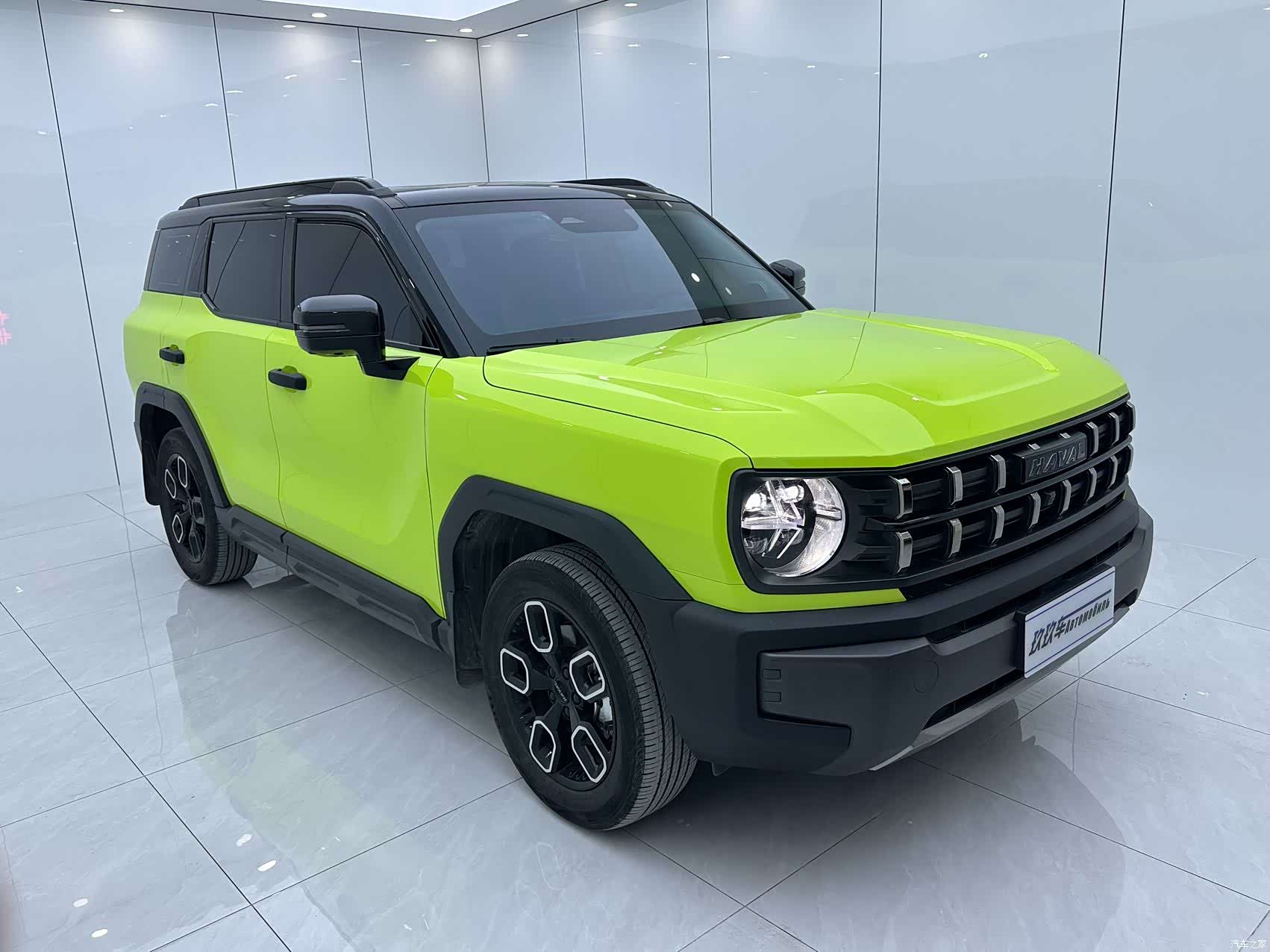 Haval Cool Dog, 2022 3