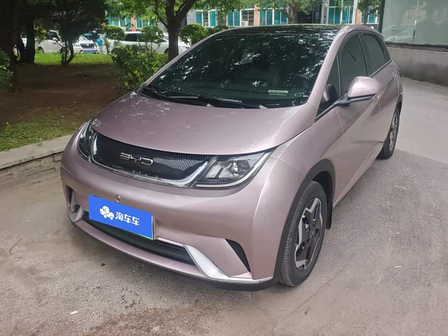 BYD Dolphin