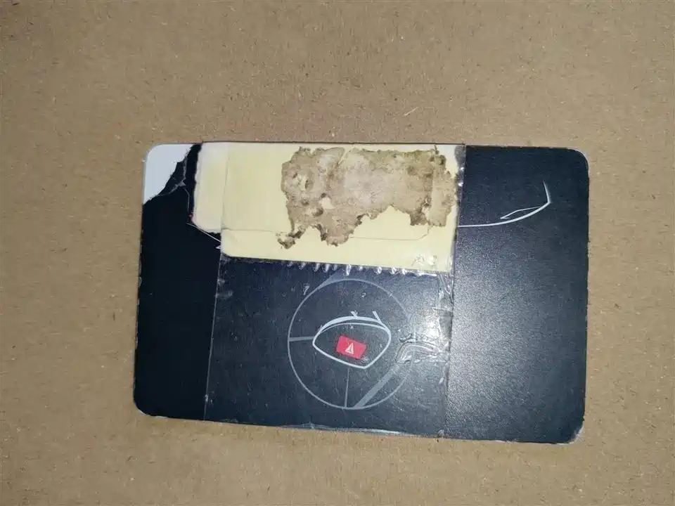 DEEPAL Dark blue S07