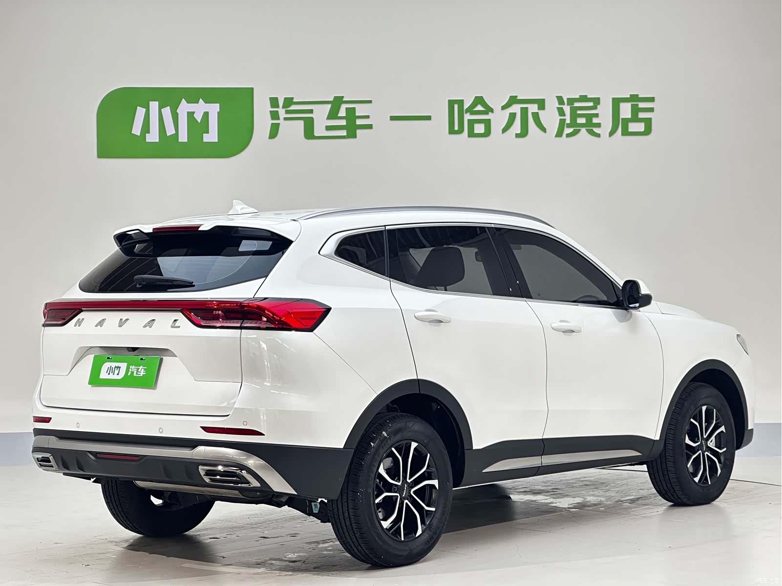 Haval H6, 2022 все фото