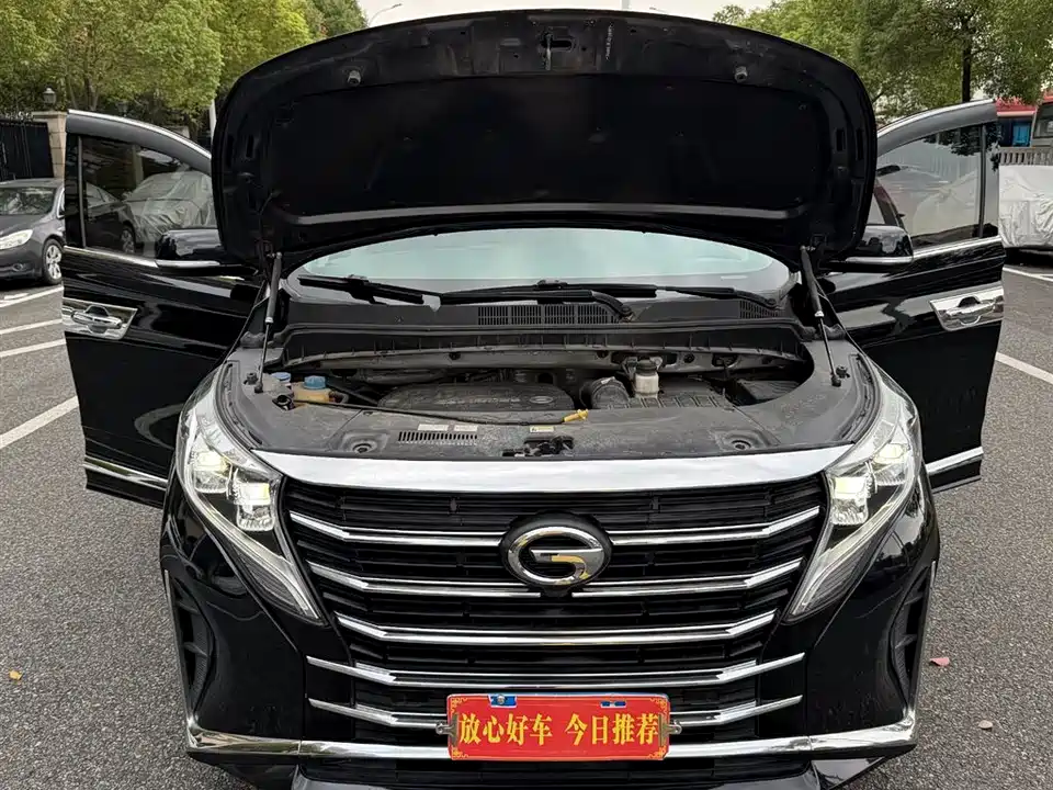 Trumpchi Trumpchi M8
