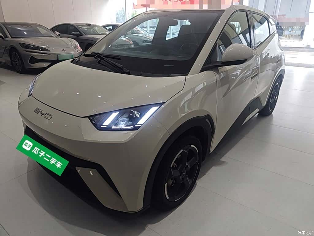 BYD Seagull, 2024 1
