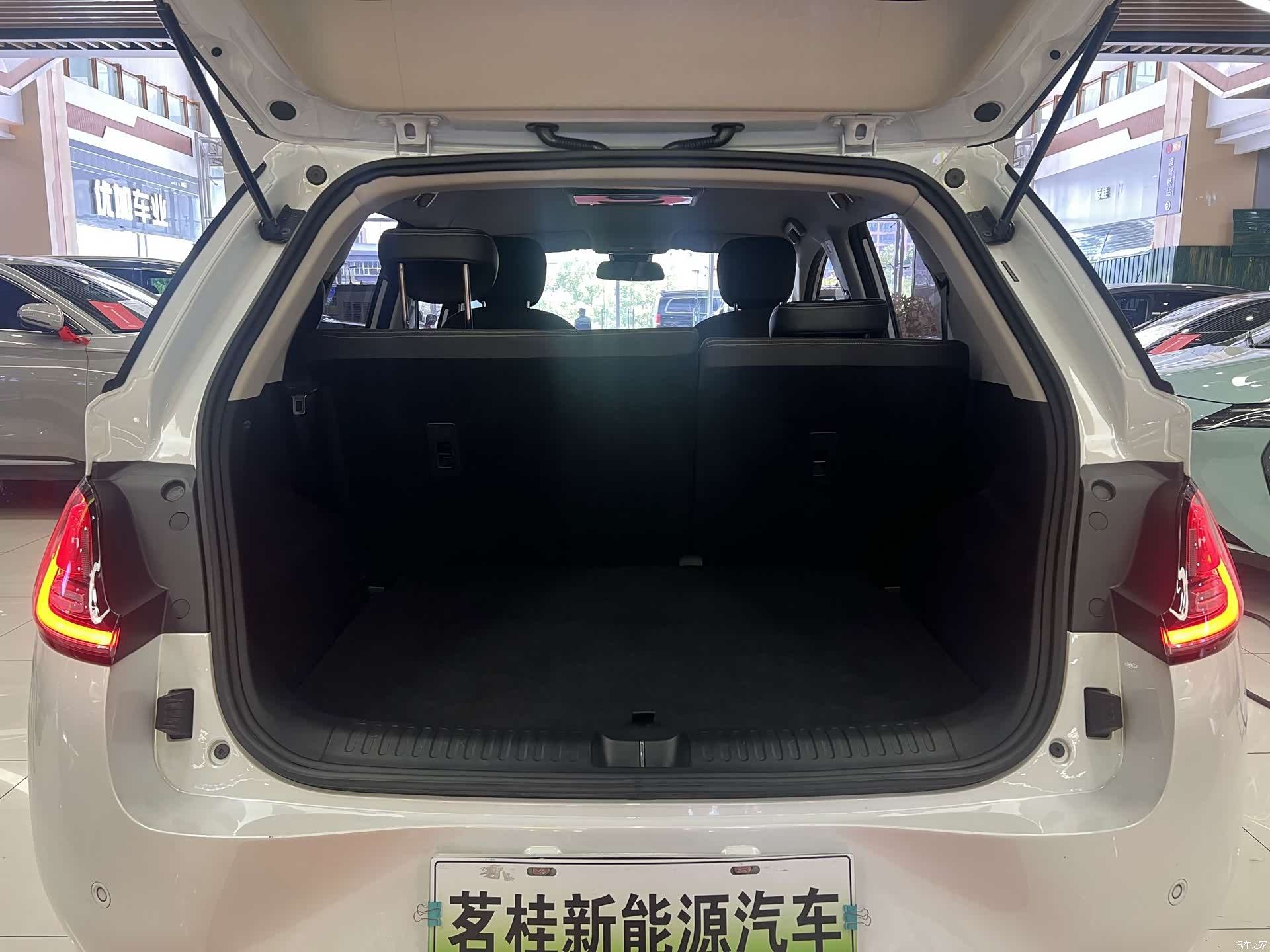Wuling 460, 2024 4