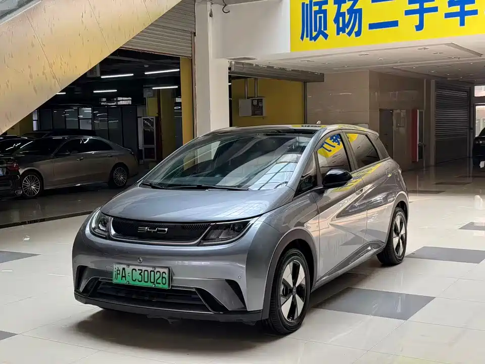 BYD dolphin