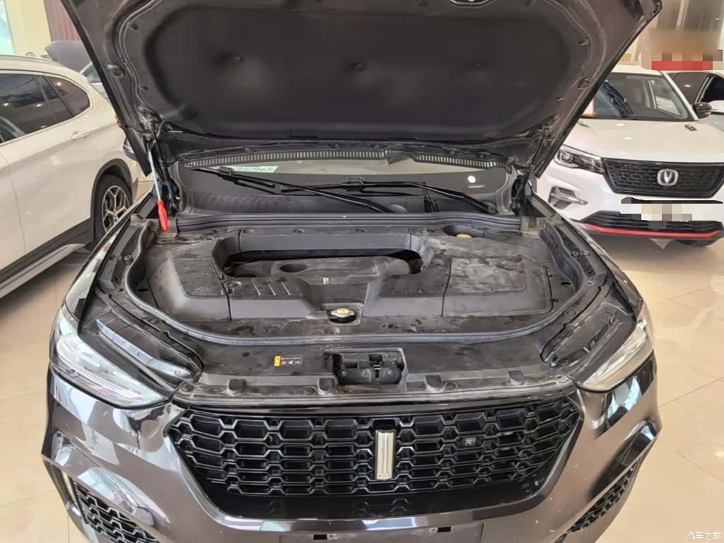 WEY VV6, 2019 20
