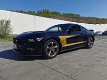 Mustang 2013 3.7L Զ׼