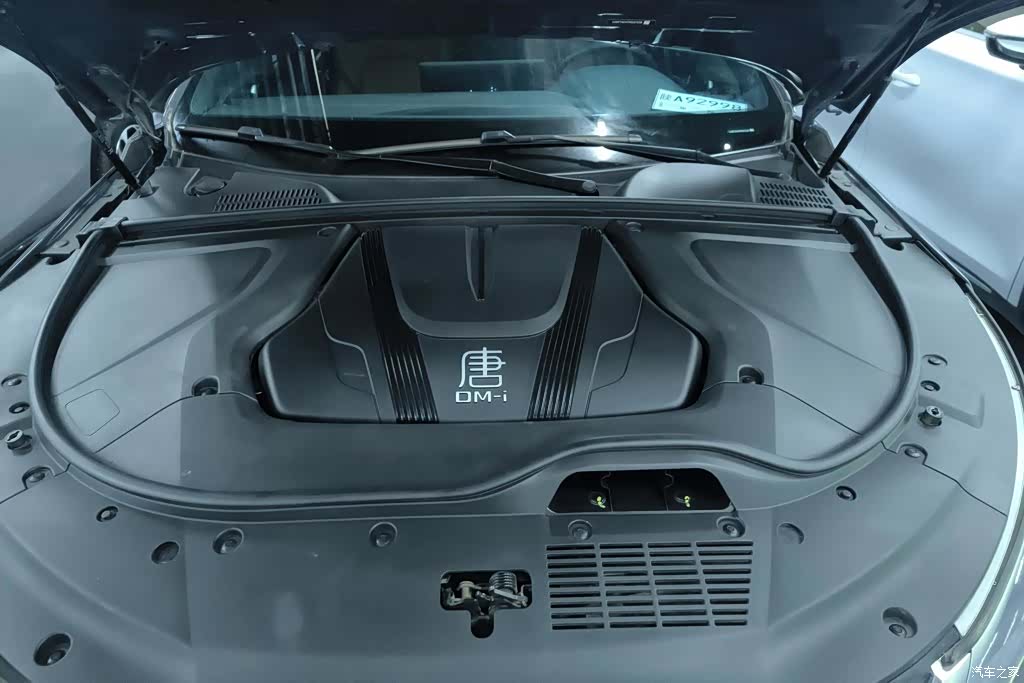 BYD Tang, 2023 10