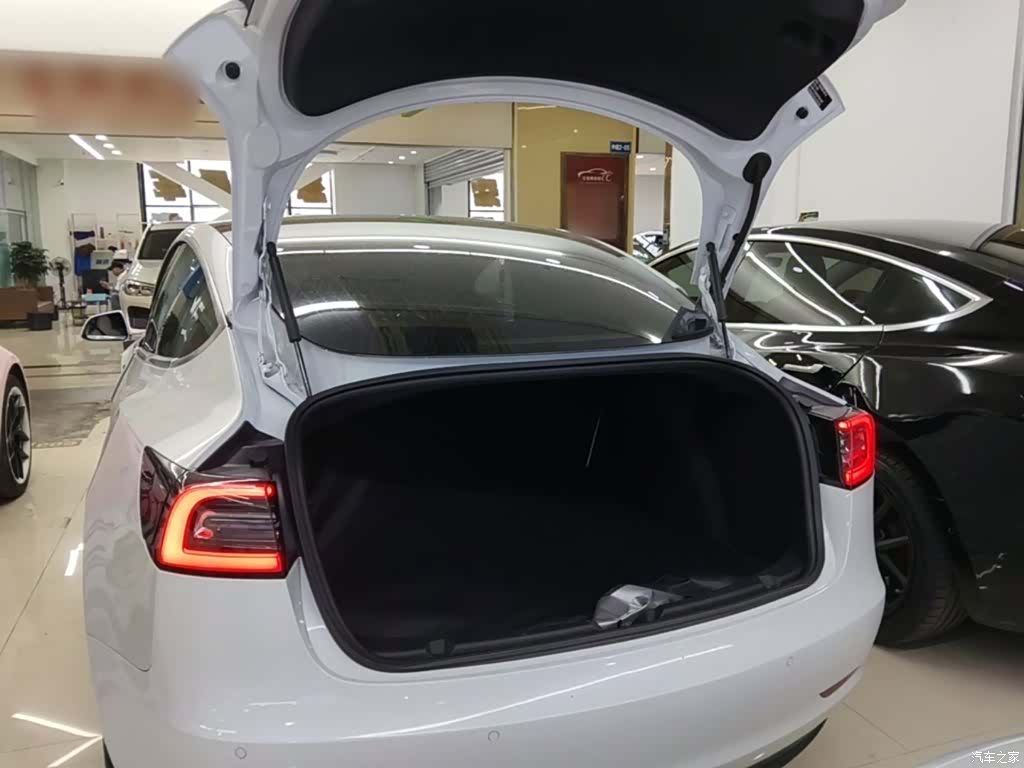 Tesla Model 3, 2020 19